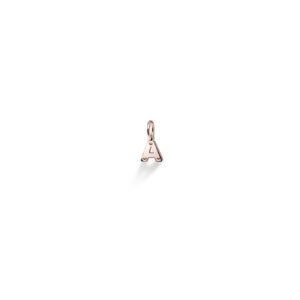 I Charms Charm Lbb170-a Le Bebe