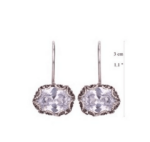 Oval Zirconia Hang Earrings E3937 Yvone Christa Earrings 5