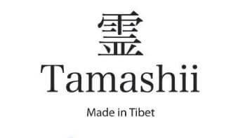 Tamashii Bracelets Black Jade Engraved Bhs900-145 2