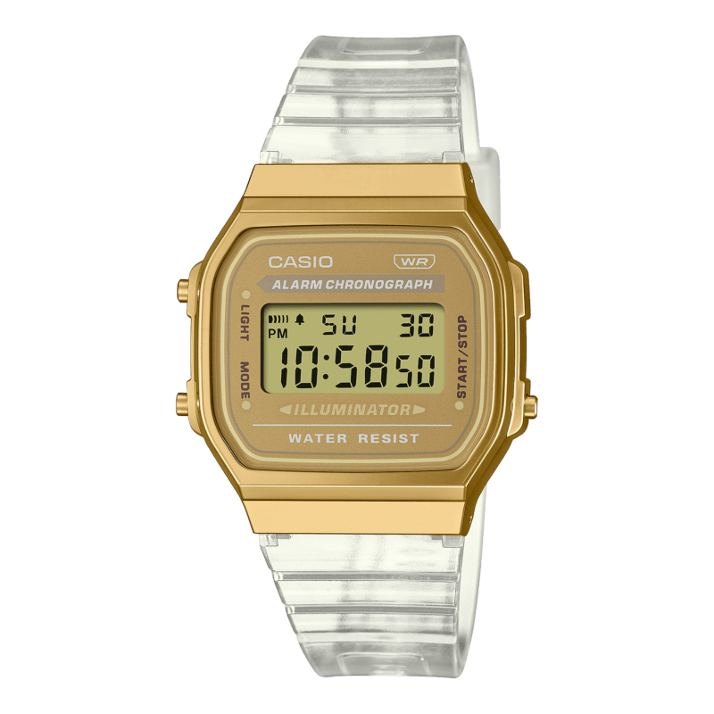 A168XESG-9A CASIO 2