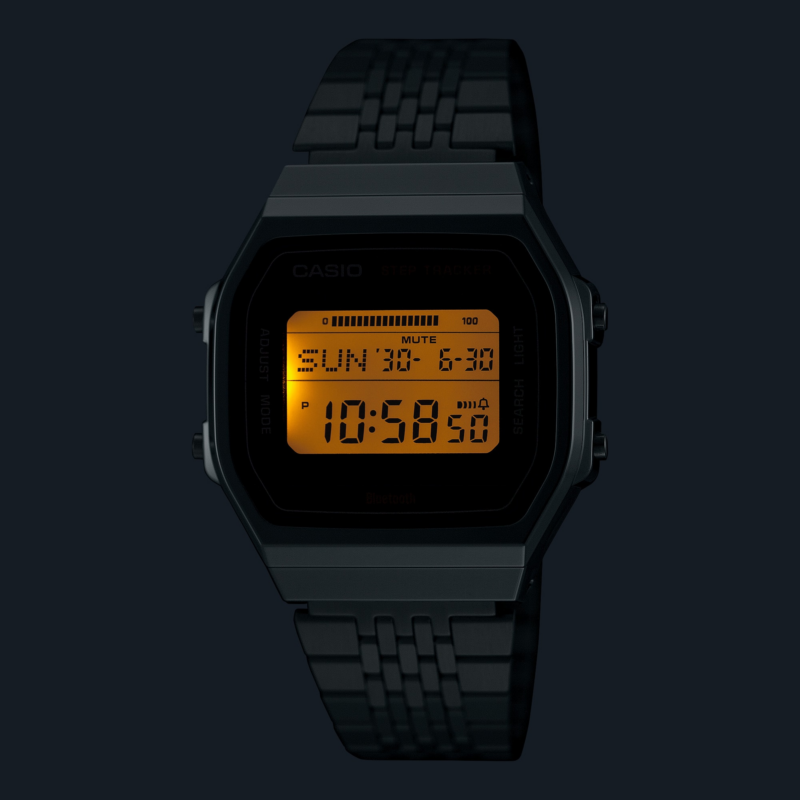 ABL-100WE-1A CASIO 6