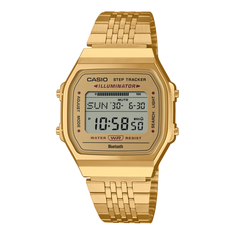 ABL-100WEG-9A CASIO 2