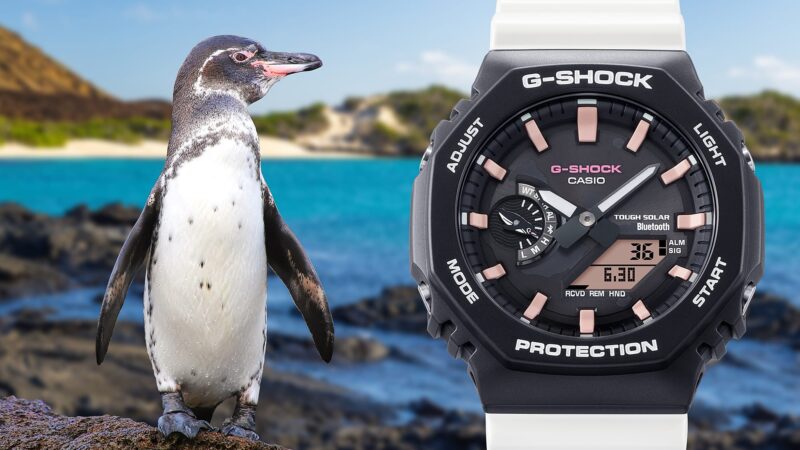 GA-B2100CD-1A7 CASIO 4