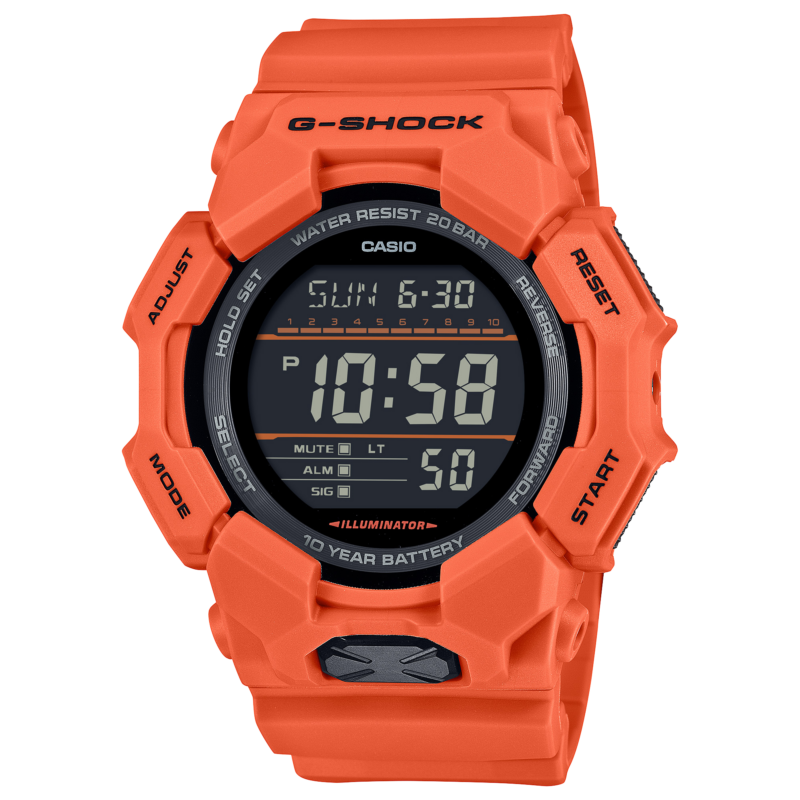GD-010-4 CASIO 2