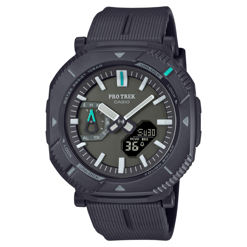PRJ-B001-1 CASIO 2