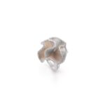 Sultana ring GAN1896B ANNAMARIA CAMMILLI 5