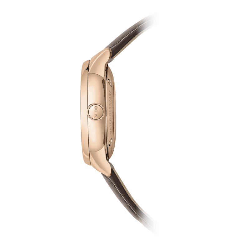 Baroncelli Signature Lady Baroncelli 4