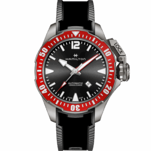 Lady Hamilton Vintage Quartz H31241113 HAMILTON 3
